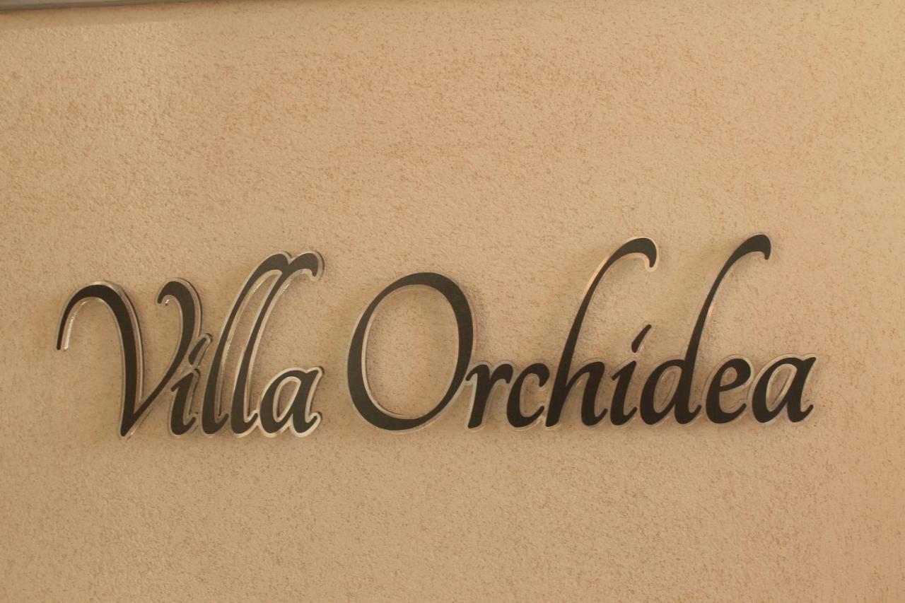 B&B Villa Orchidea Ricadi Buitenkant foto