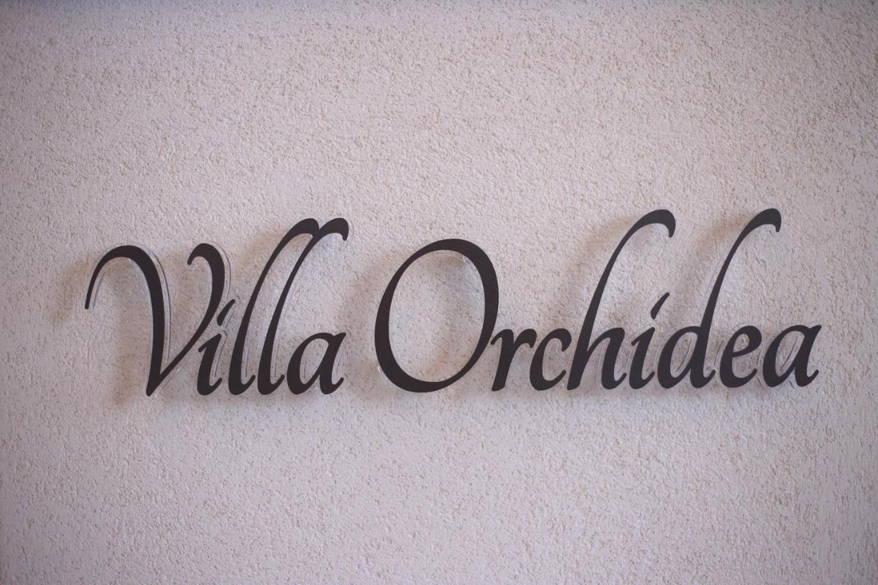 B&B Villa Orchidea Ricadi Buitenkant foto